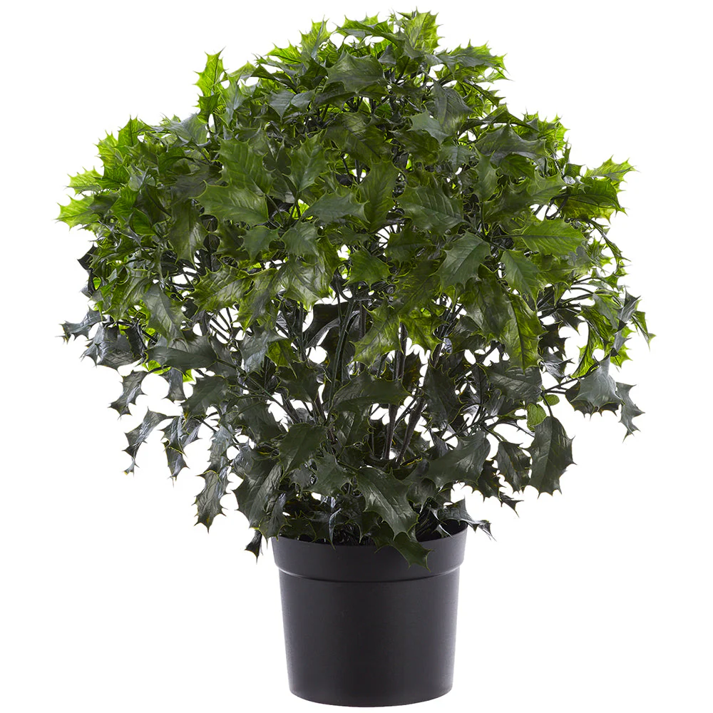 Ball Topiary