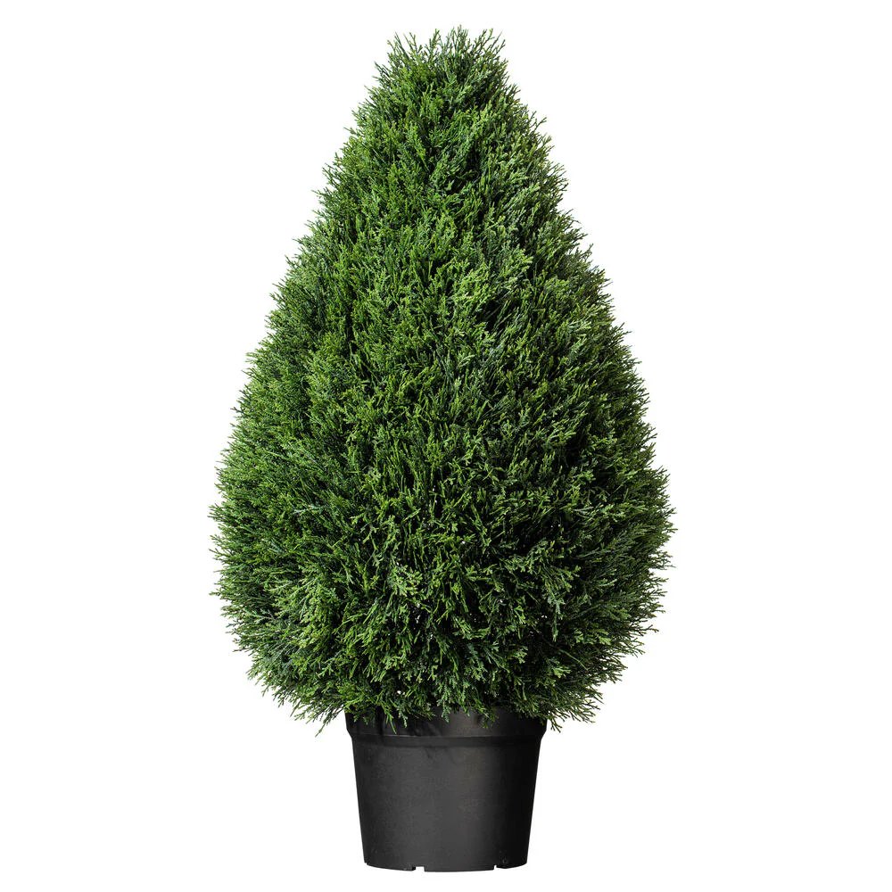 Outdoor Topiary